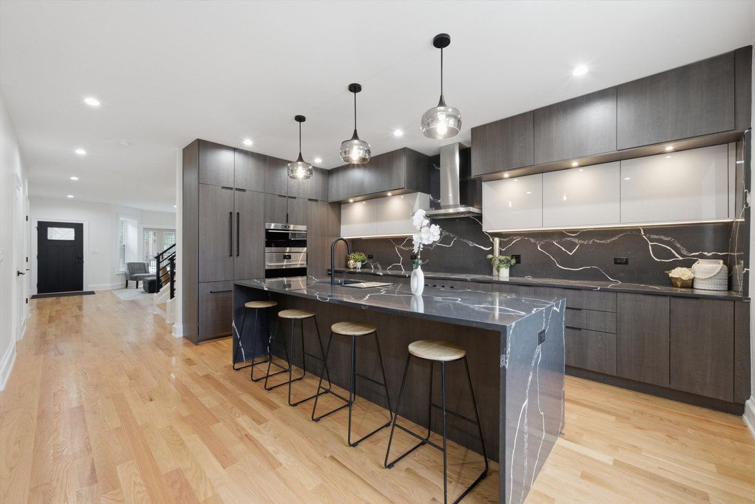 House in Chicago, Illinois, United States 4 - 18488371