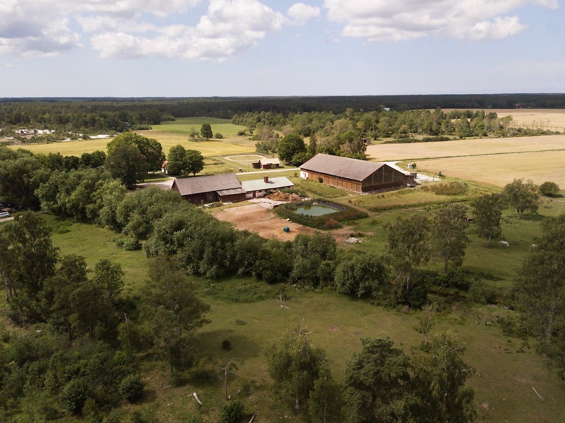 Farm Ranch in Klintehamn, Gotland County, Sweden 2 - 18488682
