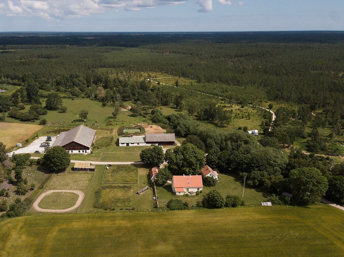 Farm Ranch in Klintehamn, Gotland County, Sweden 4 - 18488682