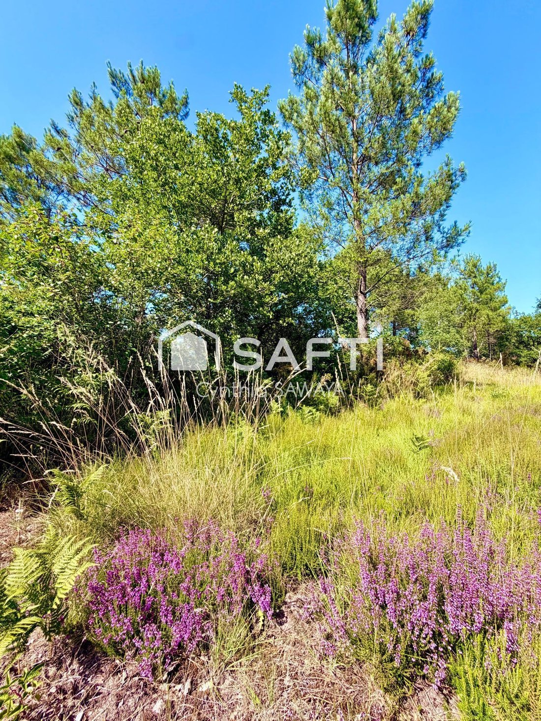 Land in Chante Cigale, Gujan-Mestras, France 4 - 18489346