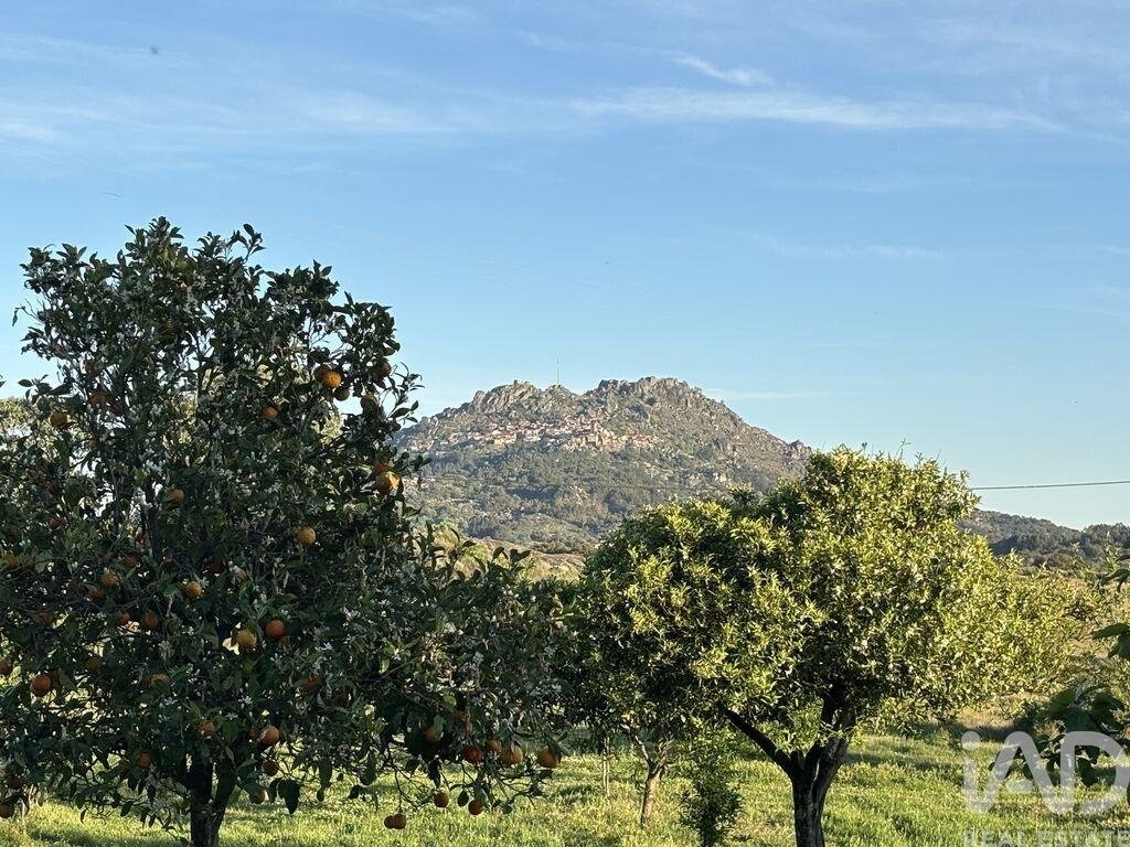 Land in Monsanto e Idanha-a-Velha, Castelo Branco District, Portugal 1 - 18489230