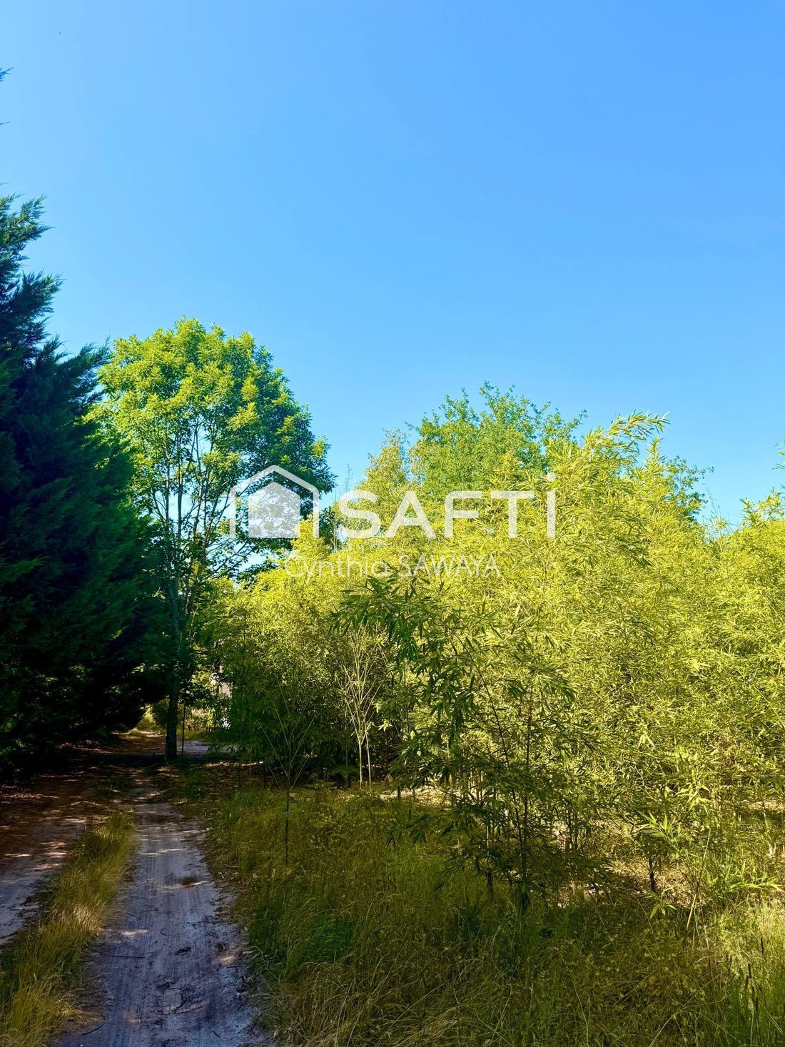 Land in Chante Cigale, Gujan-Mestras, France 3 - 18489346