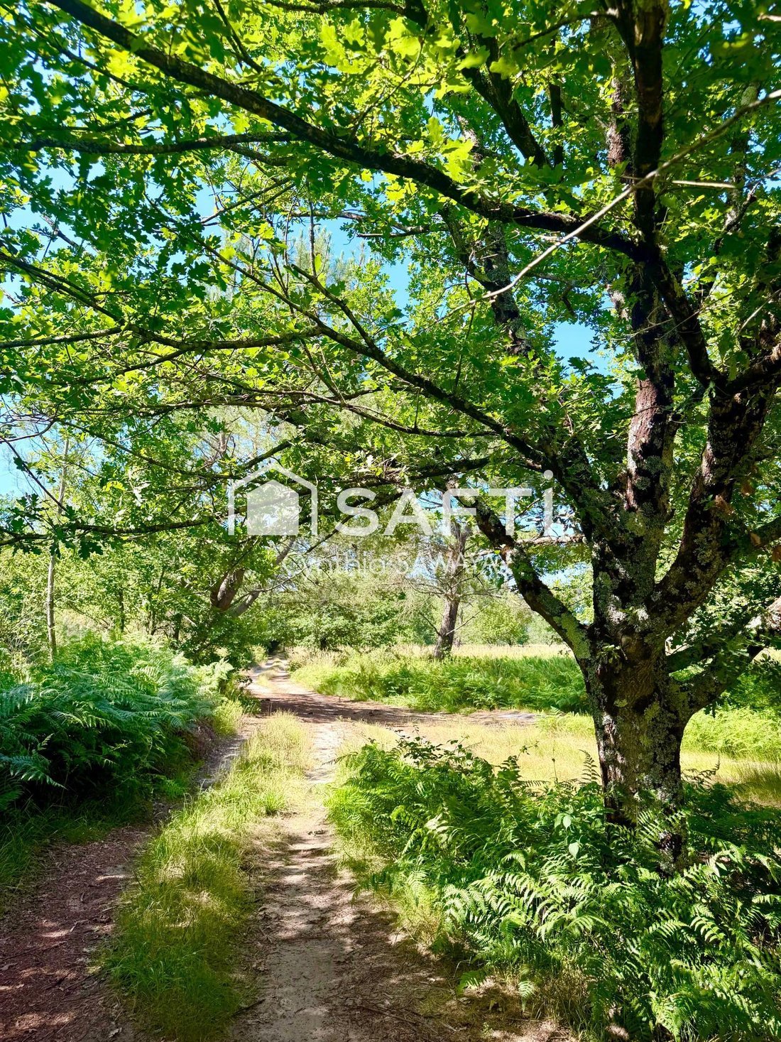 Land in Chante Cigale, Gujan-Mestras, France 1 - 18489346
