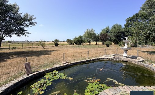 House in Killem, Hauts-de-France, France 1