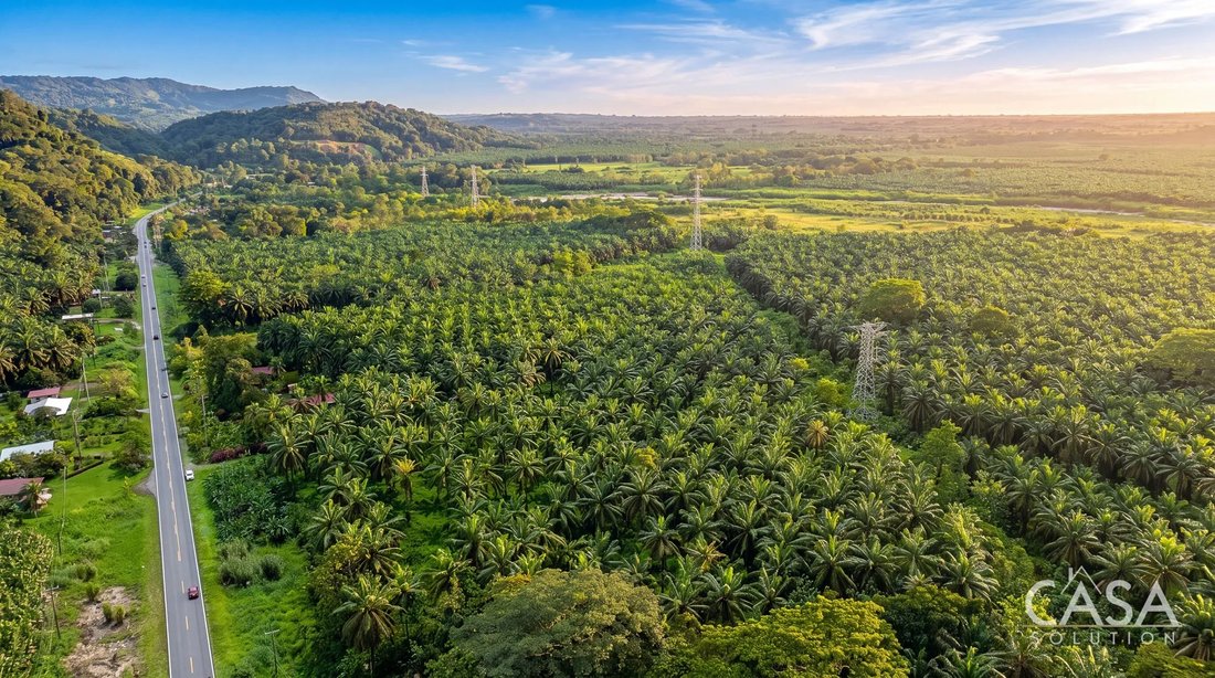 Land in Corredor District, Provinz Puntarenas, Costa Rica 2 - 18201927