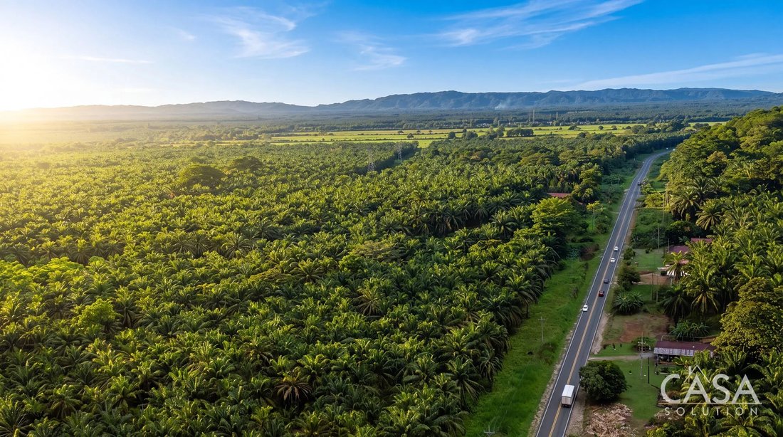 Land in Corredor District, Provinz Puntarenas, Costa Rica 4 - 18201927