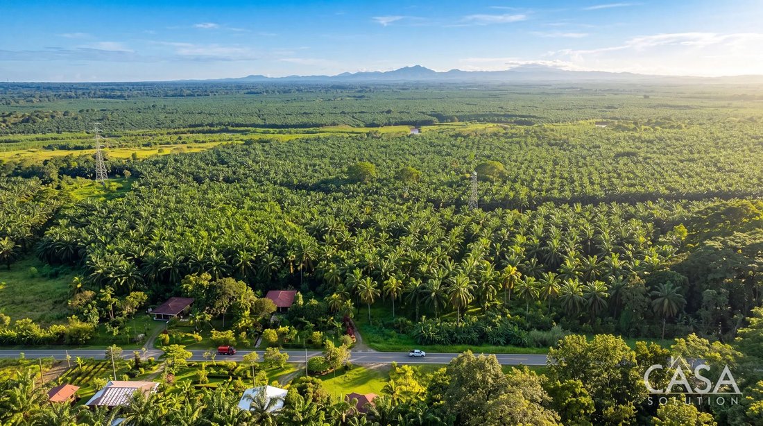 Land in Corredor District, Provinz Puntarenas, Costa Rica 3 - 18201927