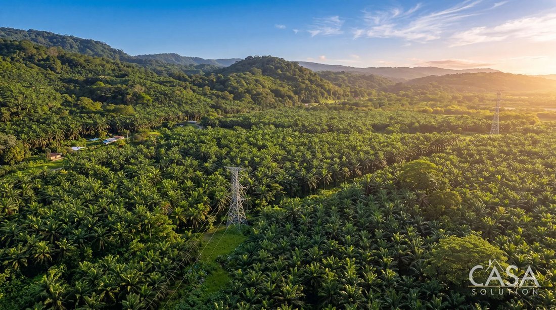 Land in Corredor District, Provinz Puntarenas, Costa Rica 5 - 18201927