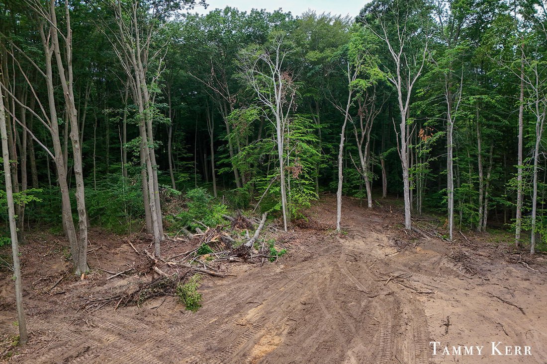Land in Fennville, Michigan, United States 3 - 18489296