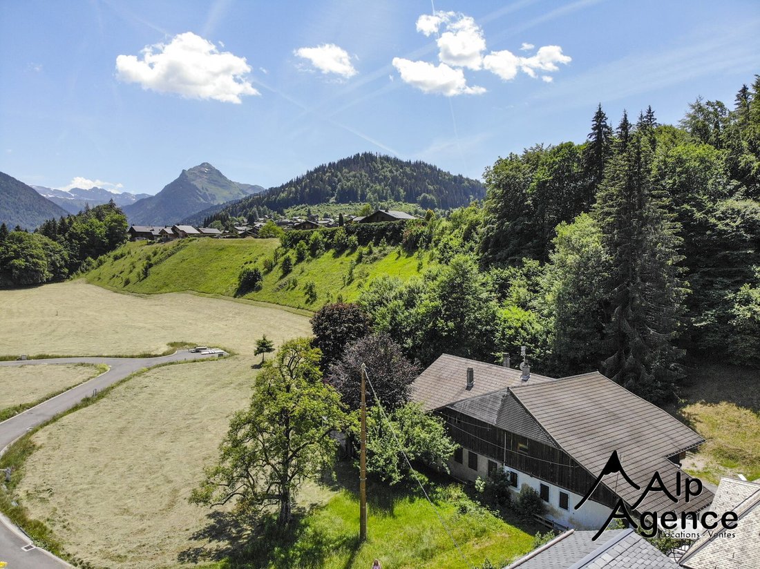 Land in Morzine, Auvergne-Rhône-Alpes, France 3 - 18489402