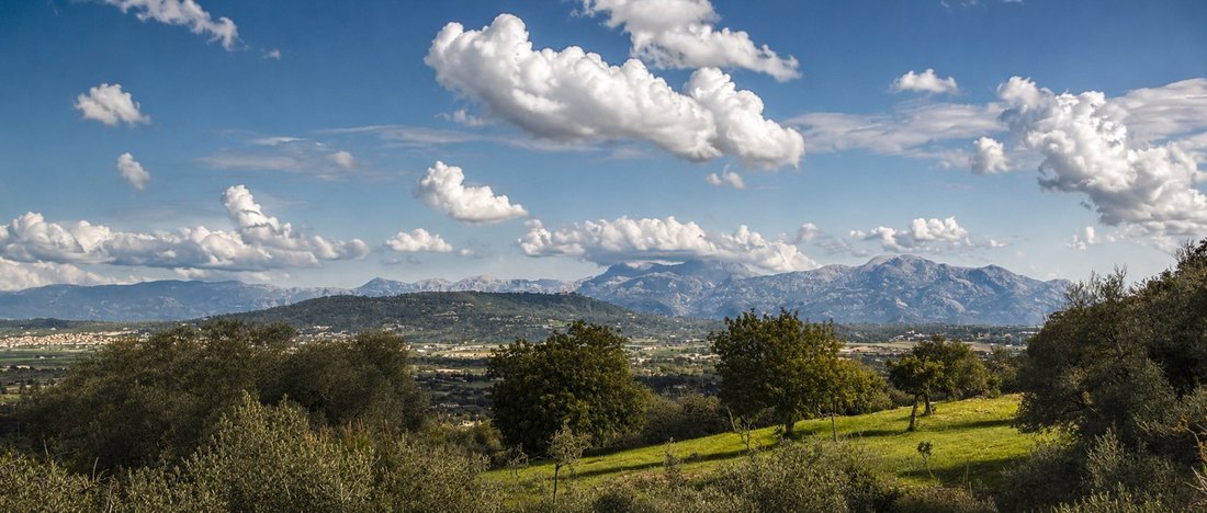 Finca in They are Macià, Manacor, Balearic Islands 3 - 18489565