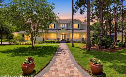 House in South Brooksville, Florida, United States 1