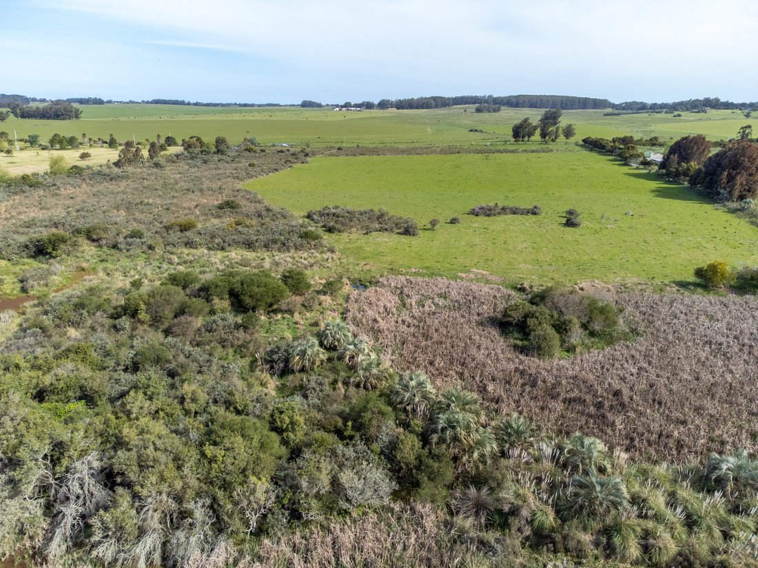 Land in San Carlos, Maldonado Department, Uruguay 4 - 18491894