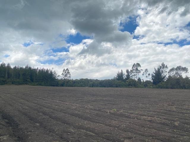 Farm Ranch in Machachi, Pichincha, Ecuador 5 - 18491368