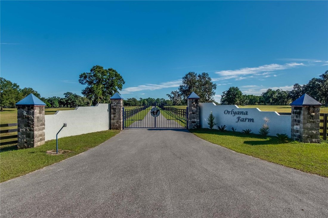 Farm Ranch in Morriston, Florida, United States 4 - 18490567