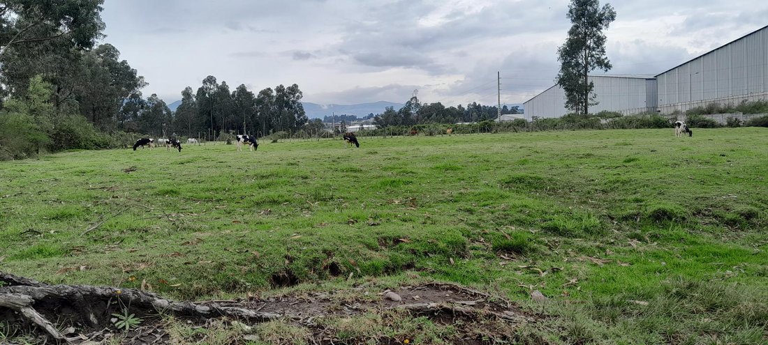 Land in Quito, Pichincha, Ecuador 1 - 18491279