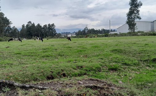 Land in Quito, Pichincha, Ecuador 1