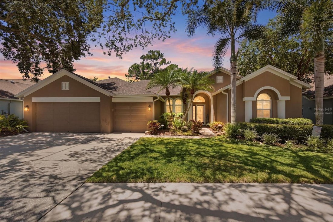 House in Tampa, Florida, United States 1 - 18460017