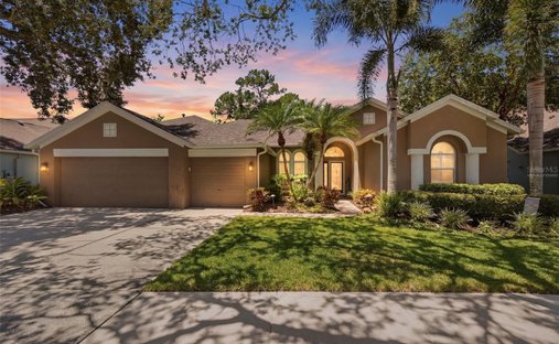 House in Tampa, Florida, United States 1