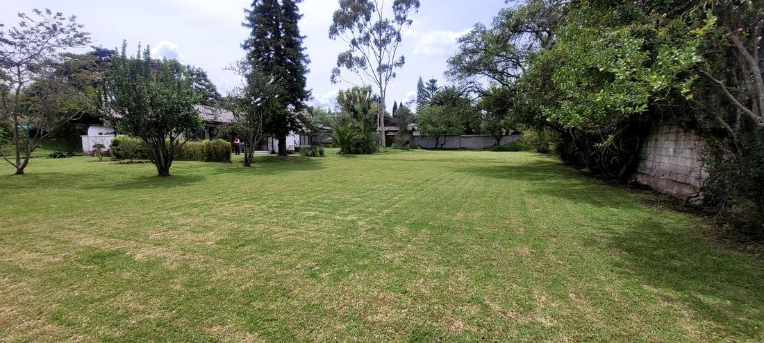 Land in Quito, Pichincha, Ecuador 1 - 18491258