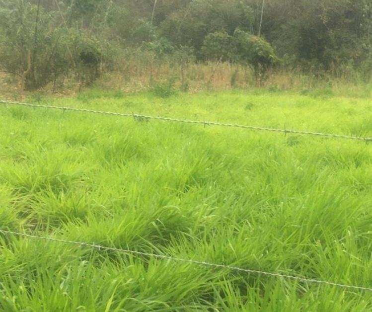 Land in Las Balsas, Santa Elena, Ecuador 5 - 18491298