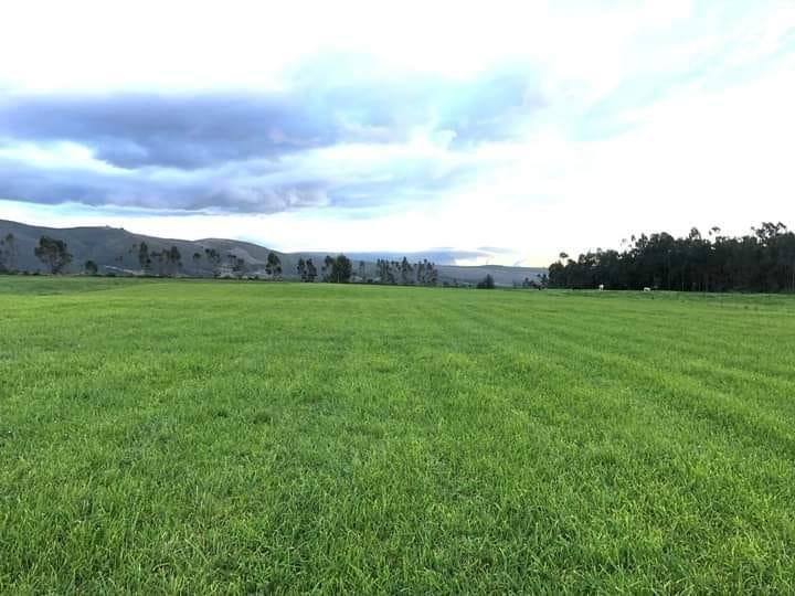 Farm Ranch in Ticatilín, Cotopaxi, Ecuador 1 - 18491384