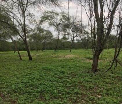 Land in Las Balsas, Santa Elena, Ecuador 1 - 18491298