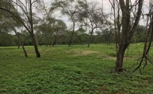 Terreno a Las Balsas, Provincia di Santa Elena, Ecuador 1