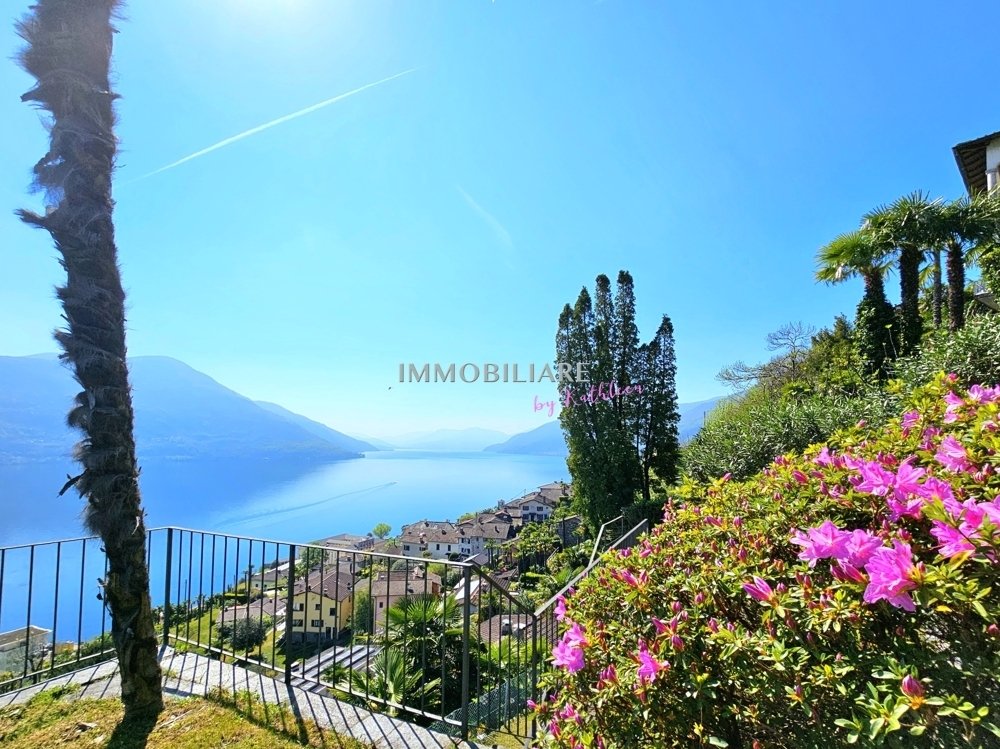 Haus in Brissago TI, Tessin, Schweiz 4 - 18491424