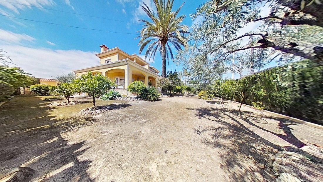 Chalet in Elx / Elche, Valencian Community, Spain 3 - 17126725