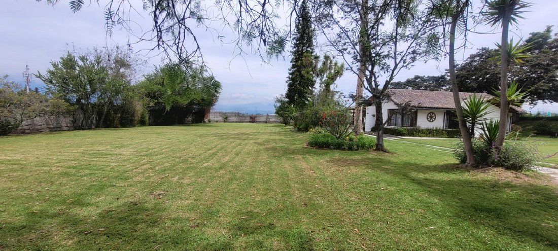 Land in Quito, Pichincha, Ecuador 3 - 18491258