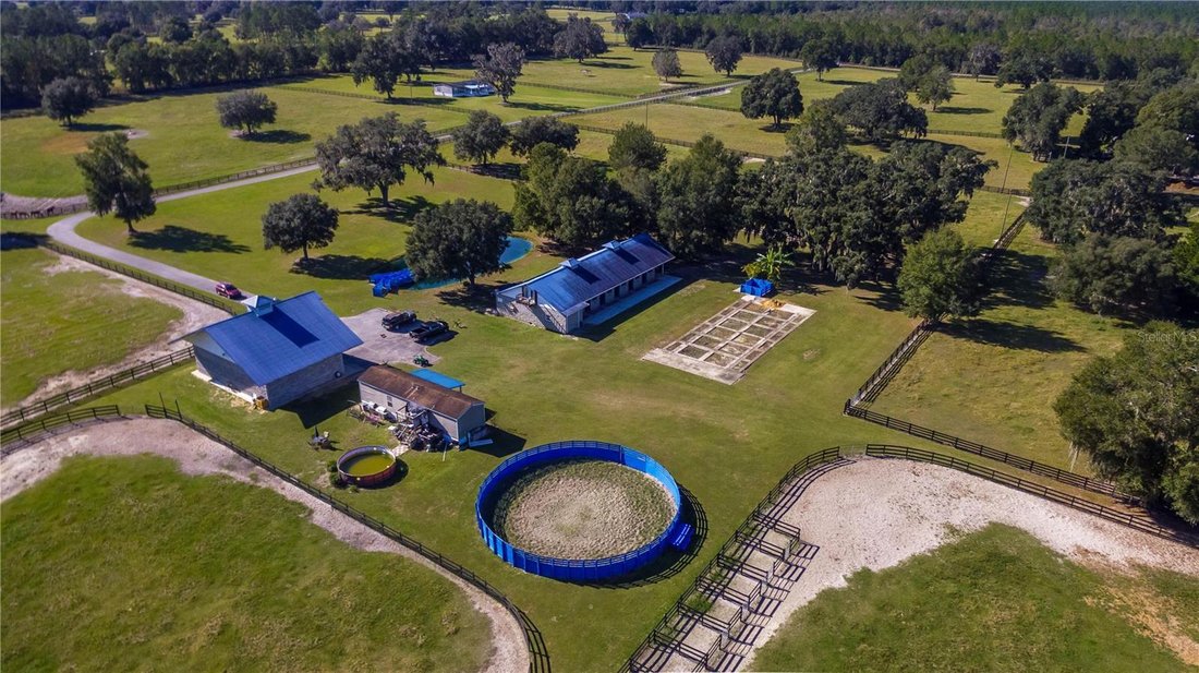 Farm Ranch in Morriston, Florida, United States 2 - 18490567