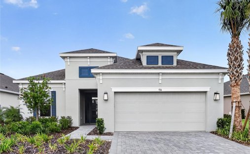 House in St. Cloud, Florida, United States 1