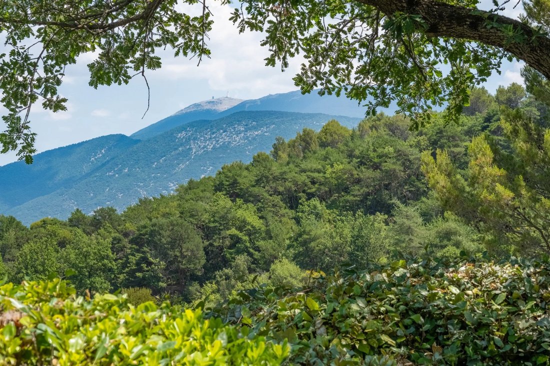 Villa in Entrechaux, Provence-Alpes-Côte d'Azur, France 4 - 18491596