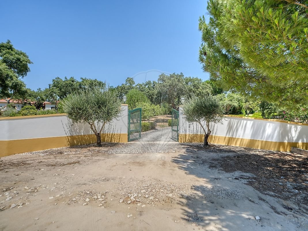Villa in Santo Estevao, Santarem District, Portugal 4 - 18491916