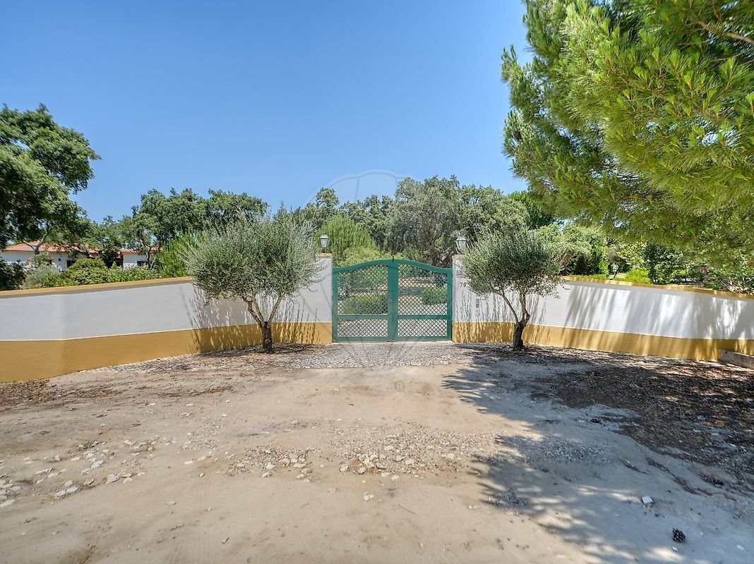 Villa in Santo Estevao, Santarem District, Portugal 3 - 18491916