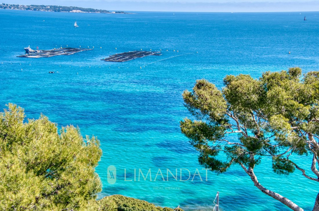 Apartment in La Californie, Cannes, France 1 - 18491759