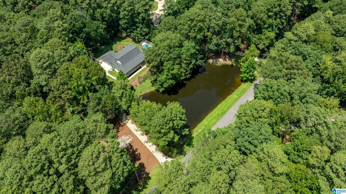 House in Pelham, Alabama, United States 4 - 18489701