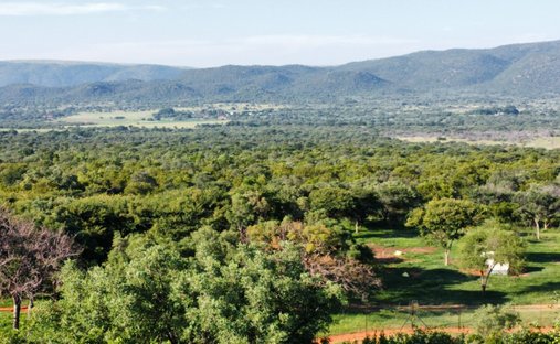 Farm Ranch in Johannesburg, Gauteng, South Africa 1