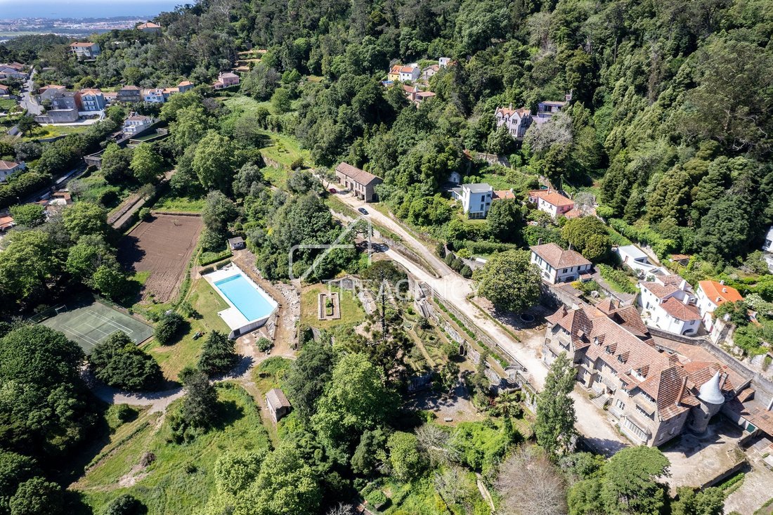 Farm Ranch in Sintra, Lisbon, Portugal 5 - 18491788