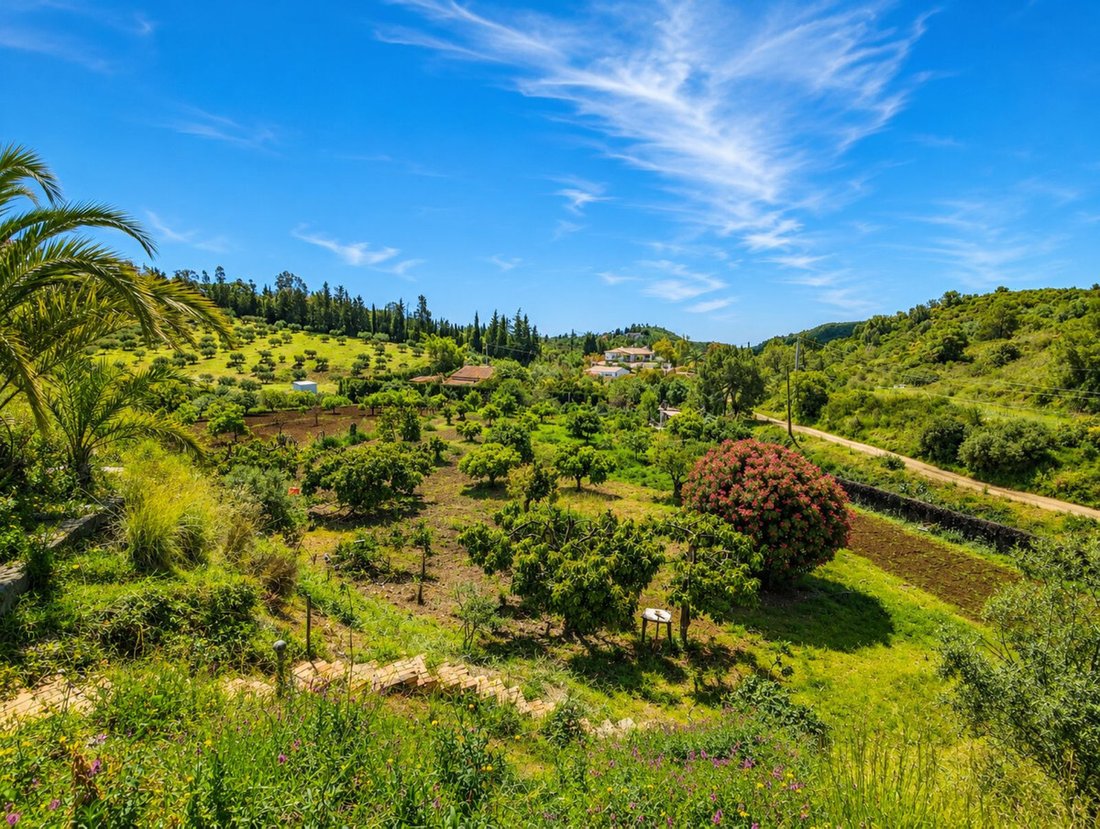 Finca in Estepona, Andalusia, Spain 3 - 18491593