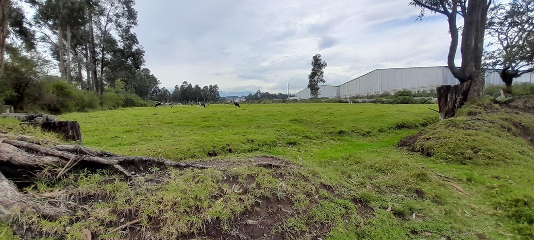 Land in Quito, Pichincha, Ecuador 2 - 18491279