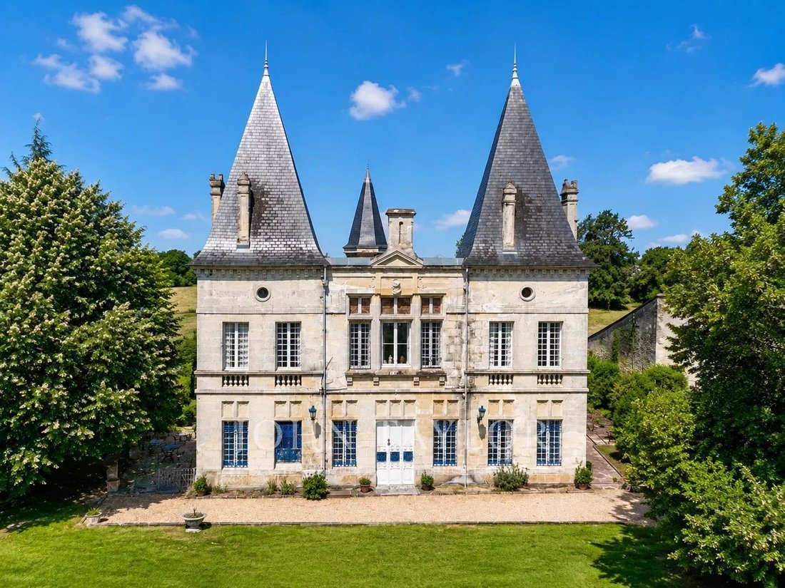 Castle in La Sauve, Nouvelle-Aquitaine, France 2 - 18491951