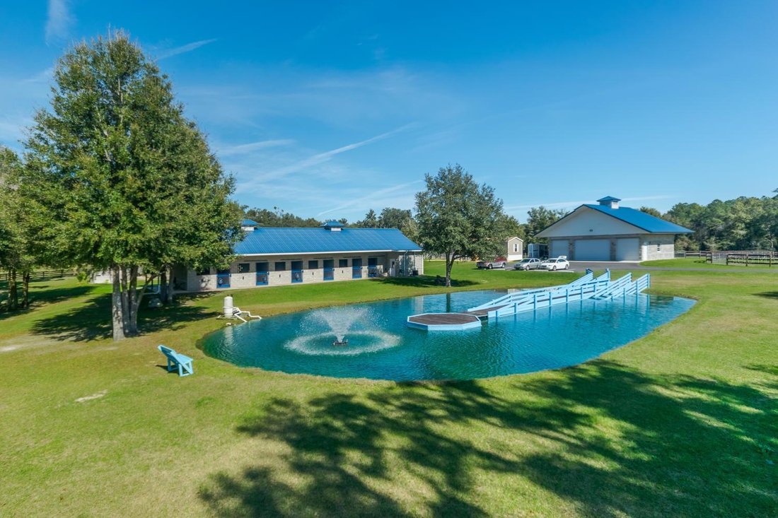 Farm Ranch in Morriston, Florida, United States 1 - 18490567