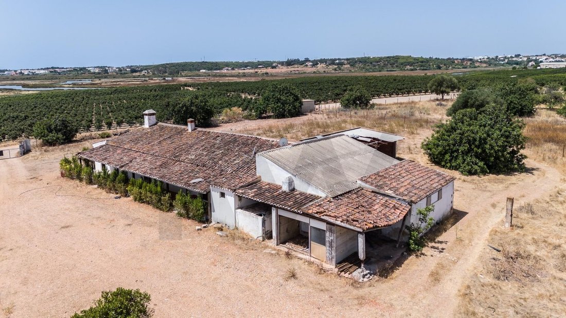 Farm Ranch in Ramalde, Porto District, Portugal 5 - 18490878