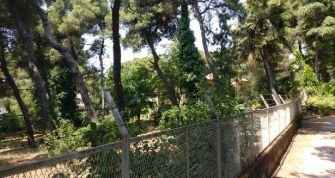 Land in Ekali, Attica, Greece 4 - 18490741