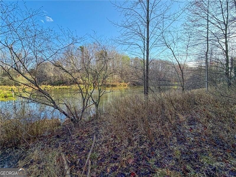 House in Cleveland, Georgia, United States 4 - 17614078