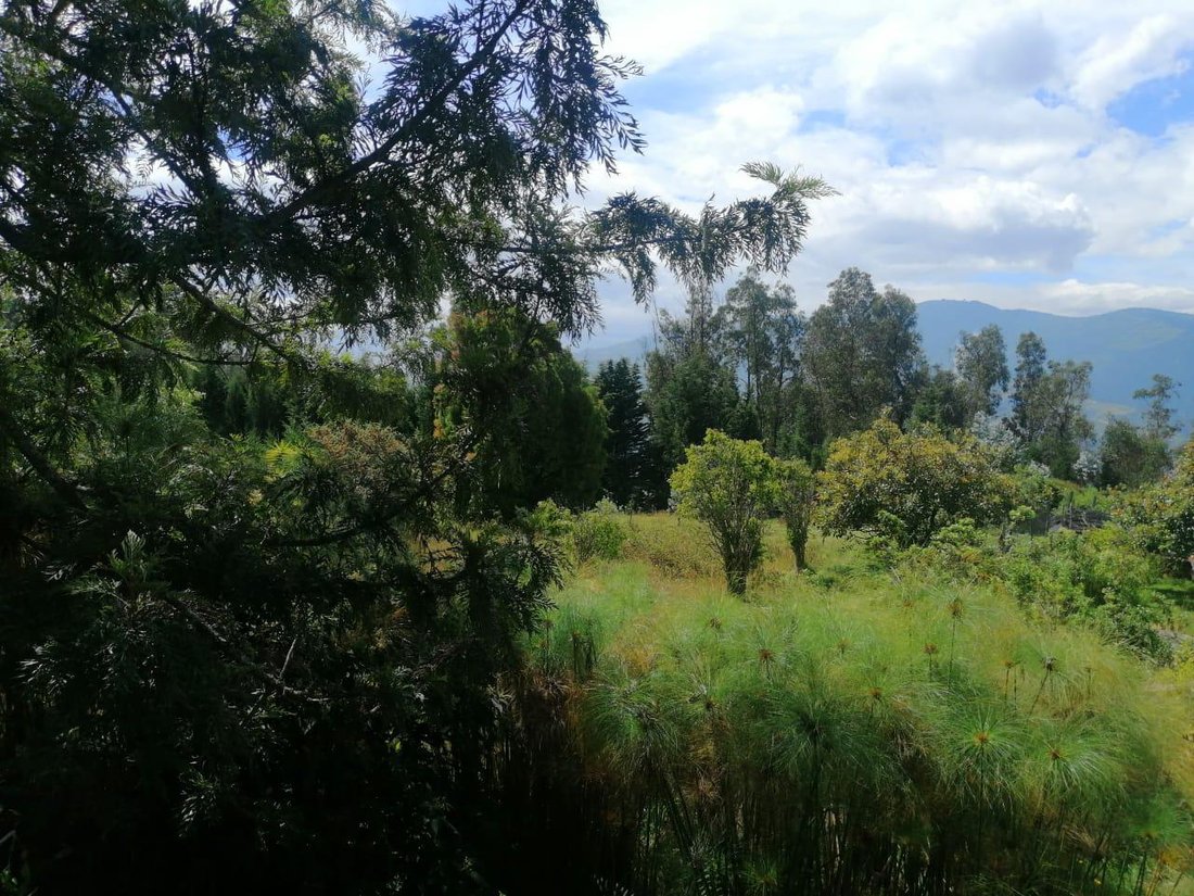 Terreno a Quito, Provincia del Pichincha, Ecuador 5 - 18491192