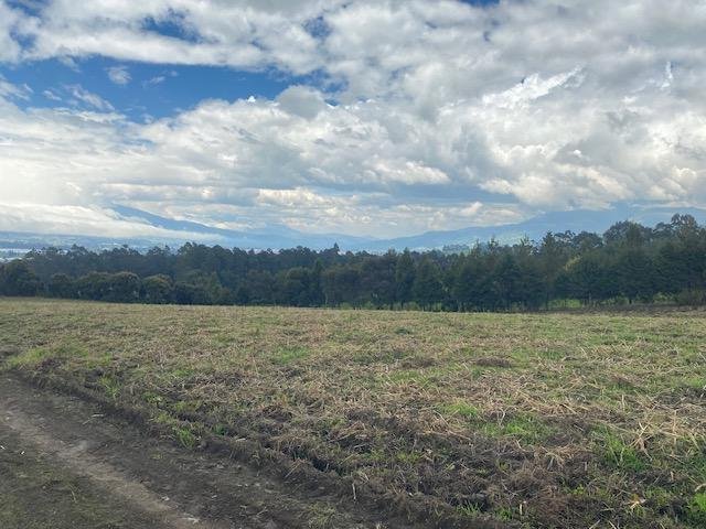 Farm Ranch in Machachi, Pichincha, Ecuador 1 - 18491368