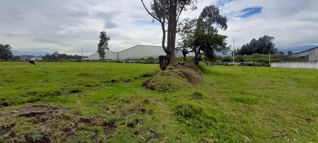 Land in Quito, Pichincha, Ecuador 3 - 18491279